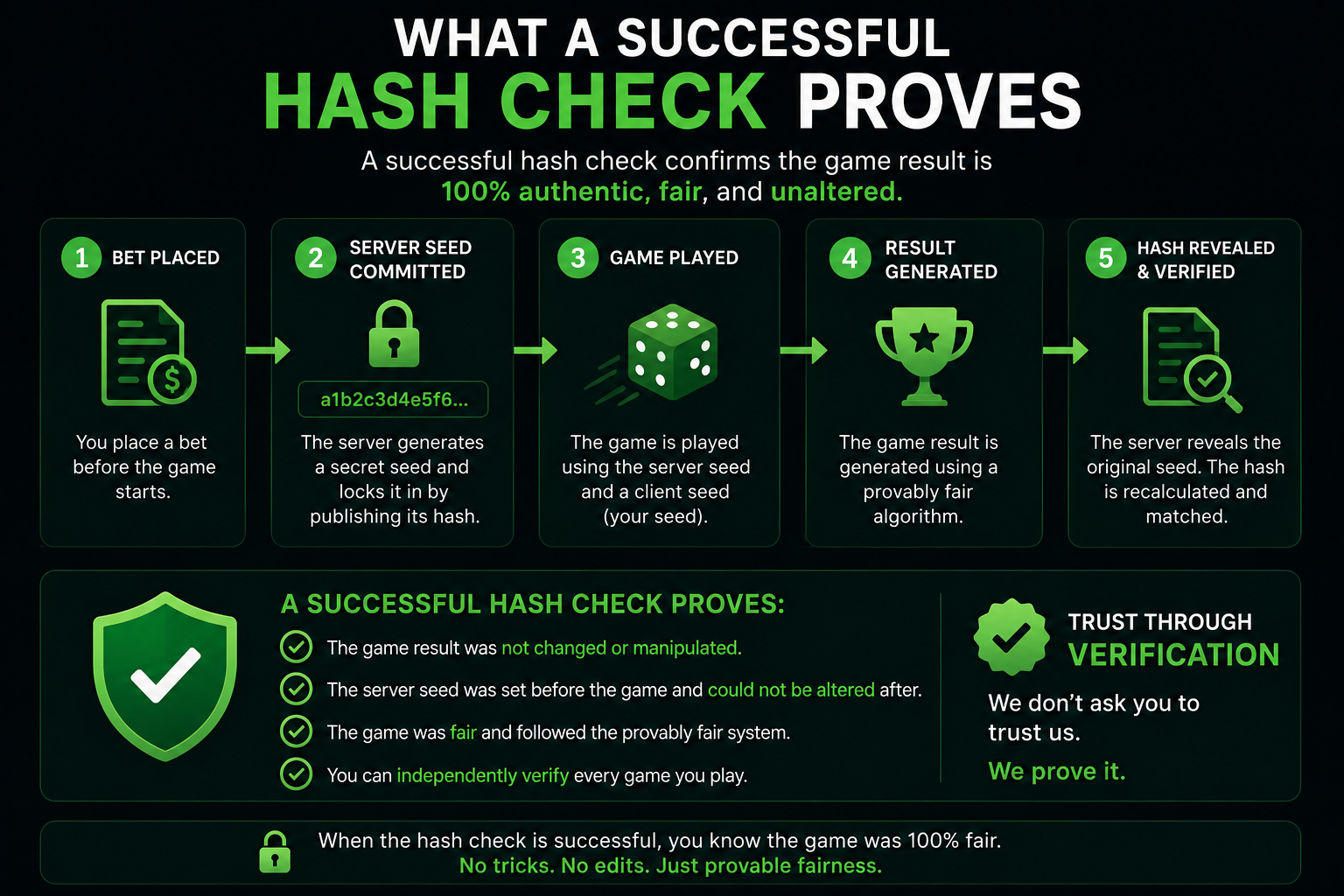 What a Successful Hash Check Proves